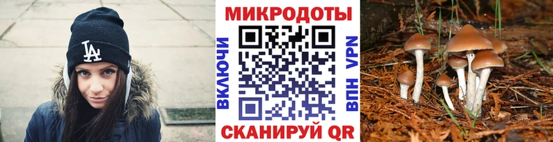 Галлюциногенные грибы мицелий  продажа наркотиков  Похвистнево 